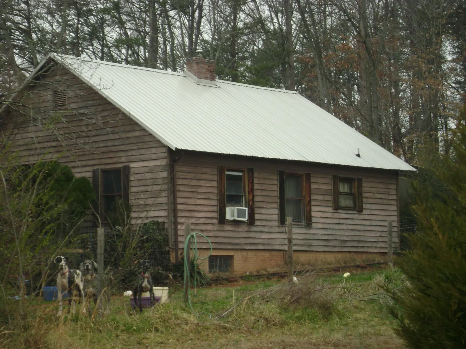 White metal roof on an old wood sided farmhouse, from a Asphalt Shingle Roof Repair job in Dixie